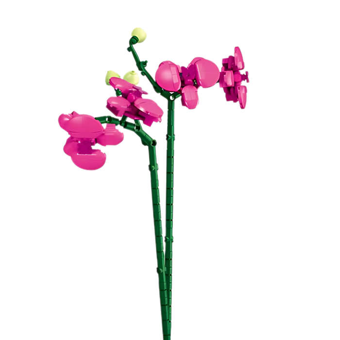 Sluban Building Set: Pleyerid - Flowers - Orchid - 261 Pieces