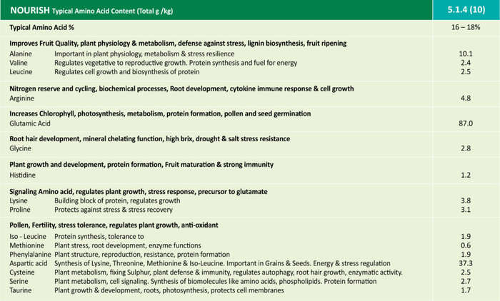Talborne Nourish 5:1:4, Organic Liquid Fertilizer