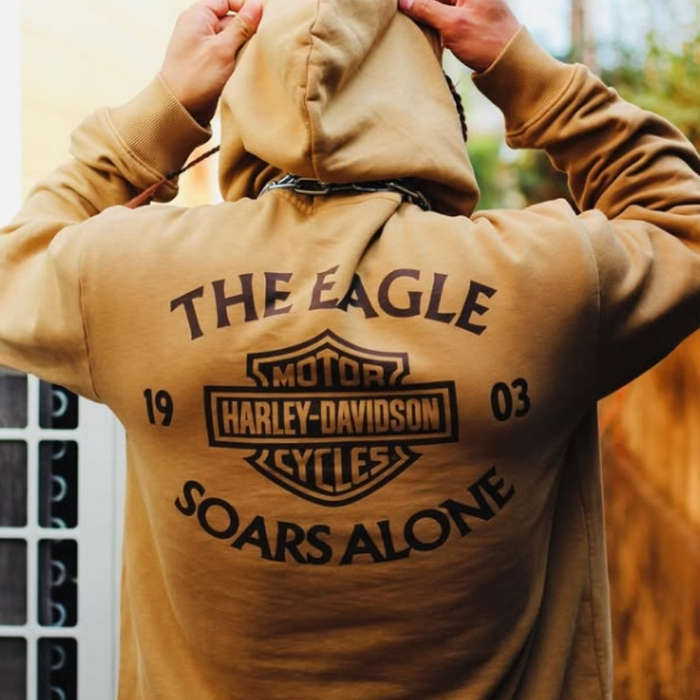 Eagle Soars Alone Slub Hoodie - 2XL
