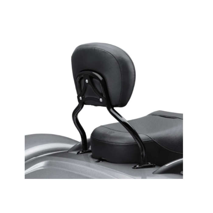 Quick-Release Sissy Bar Upright