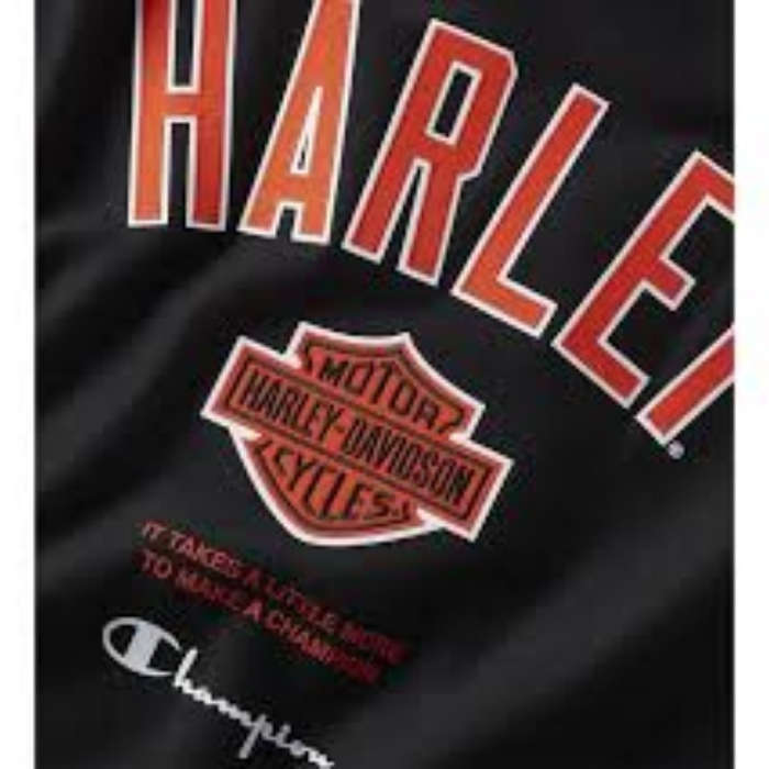 Champion Fanatic Crew Neck Sweatshirt - L