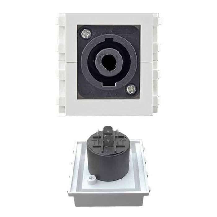 Speakon Female | Keystone Wall Plate Insert | HTECH