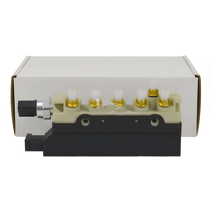 Air Suspension Compressor Valve Block 2203200258 for Mercedes-Benz S-Class W220