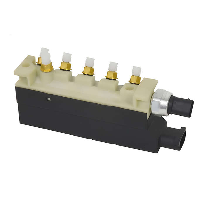 Air Suspension Compressor Valve Block 2203200258 for Mercedes-Benz S-Class W220