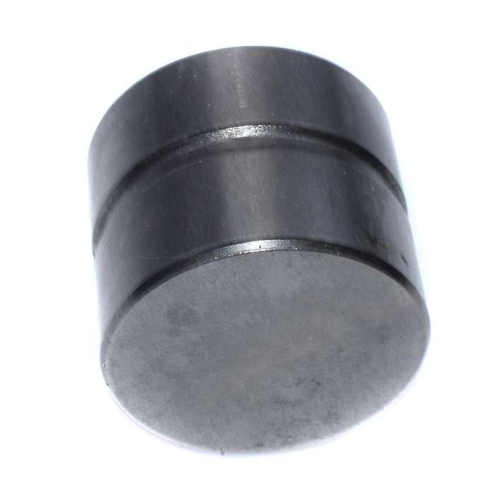 Lash Adjusters Lifters Tappet LF8006 For 1999-06 Suzuki Vitara Chevrolet Tracker