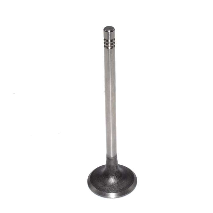Engine drain Valve For Audi A4 A6 A8 TT VW Beetle Golf 058109611,0581