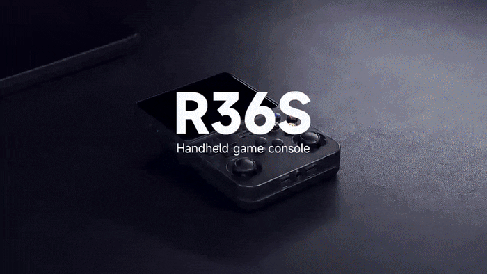 R36S Demo GIF