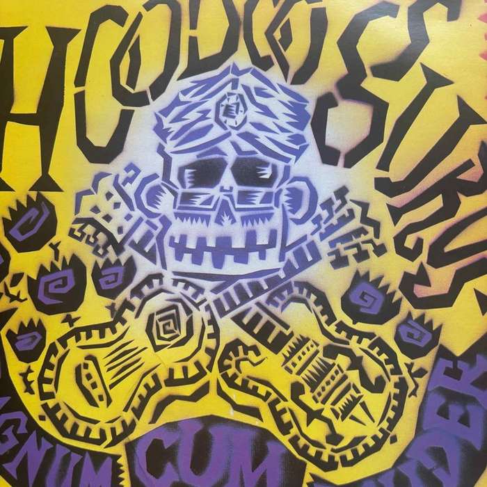 Hoodoo Gurus : Stoneage Romeos : LP Cond. = VG