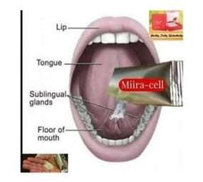 Miiracell Plus 24day Stem Cell Therapy