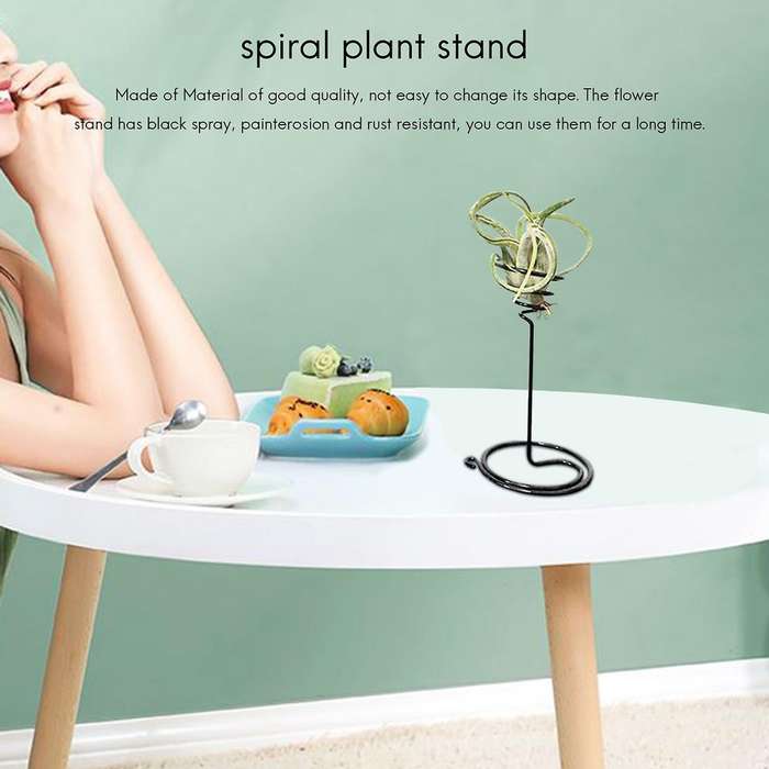 Plant Holder, Iron Spiral Flower Stand, Holder for Displaying Plant
