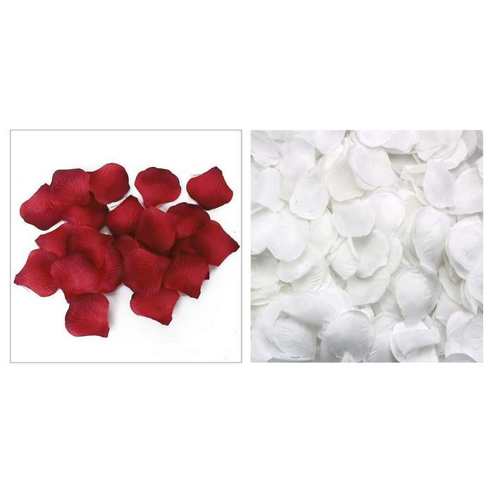 500 Rose Petals Scattered White Decoration Wedding Party