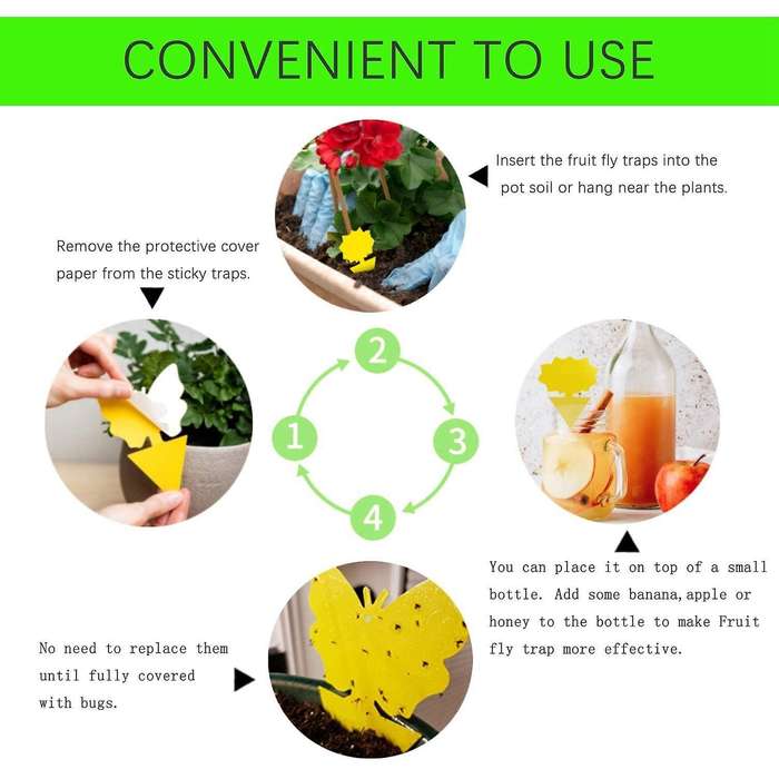 Fruit Fly Trap,for Kitchen,indoor/outdoor(12 Pack),dual-sided Yellow