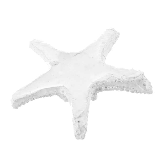 3pcs Resin Starfish Tropical Ornament Sea Star Decoration(white)