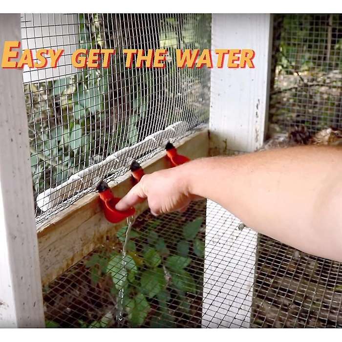 Chicken Waterer Cups, Chicken Waterer for Chicken Ducks Quail 4pcs