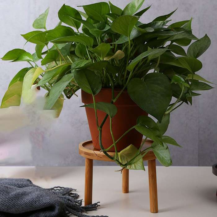 Wooden Plant Stand Flower Pot Base Holder Round for Indoor Outdoor