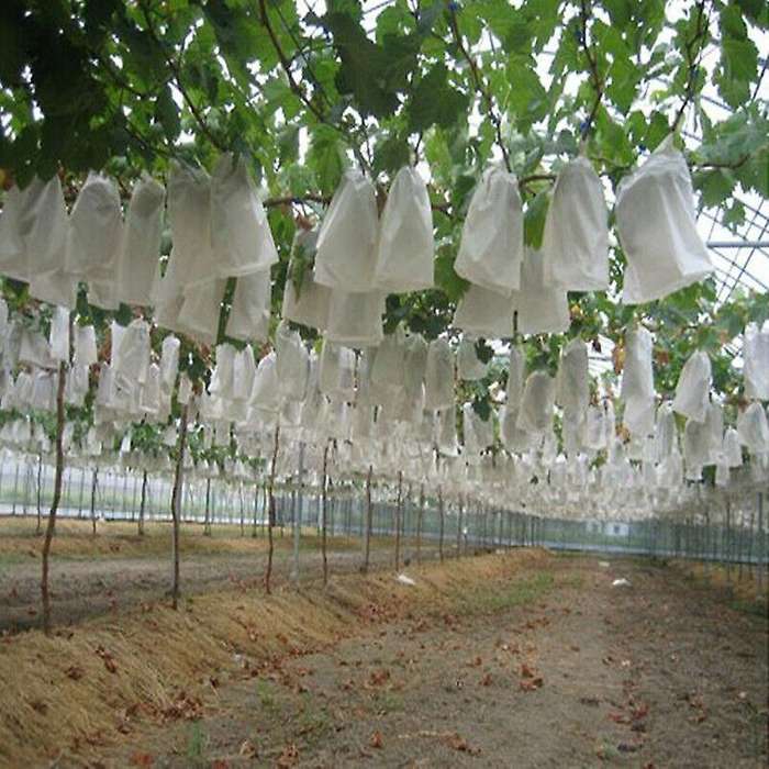 100pcs Garden Plant Fruit Cover Protect Net Mesh Bag Against Insect