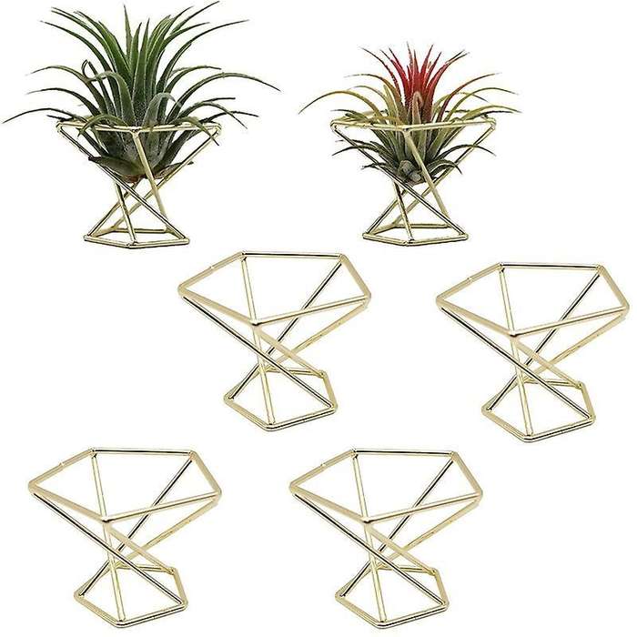 6 Pcs Geometric Air Plant Holder Airplants Rack Metal Plants Stand