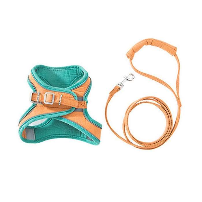 Training Walking Leads for Small Cats Dogs Floral Adjust (green S )