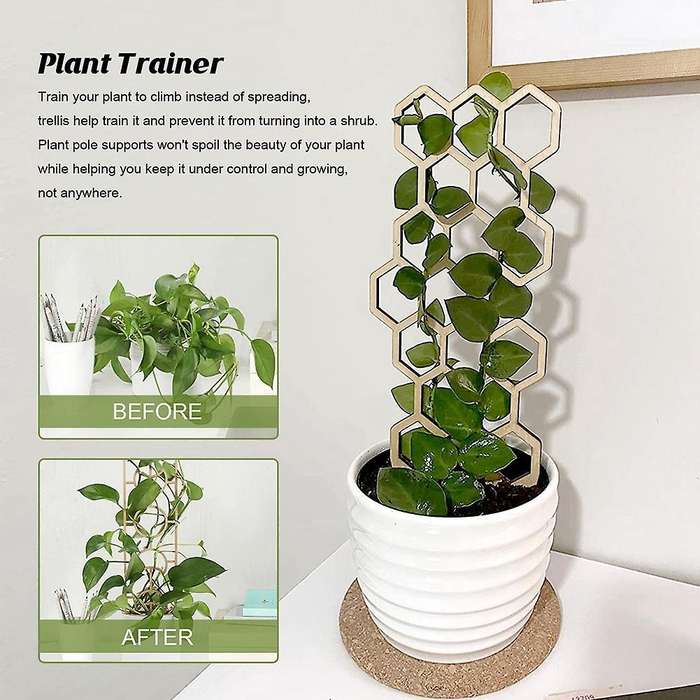 3pcs Climbing Vine Rack Plant Potted Wood Support Frame Rack Pole -3