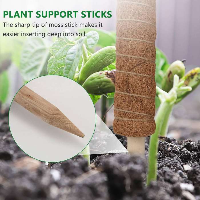 Moss Pole 40cm for Cheese Plant, Stackable Moss Stick and Ties