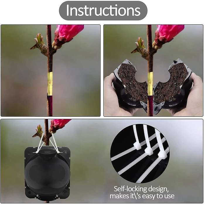 Plant Root Planting Box Grafting Equipment,plant Root Equipment Ball