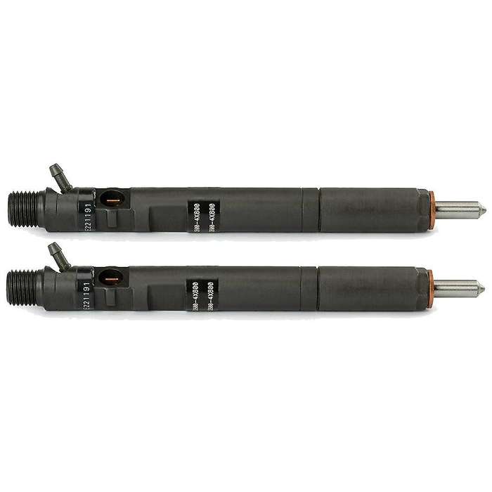 2pcs New Delphi Crdi -diesel Fuel Injector Ejbr02901d