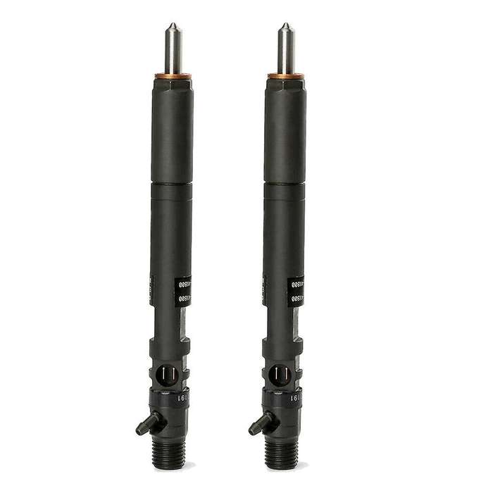 2pcs New Delphi Crdi -diesel Fuel Injector Ejbr02901d