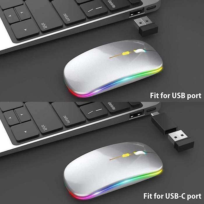 Led Wireless Mouse,with Usb & Type-c Receiver, for Laptop(silver)