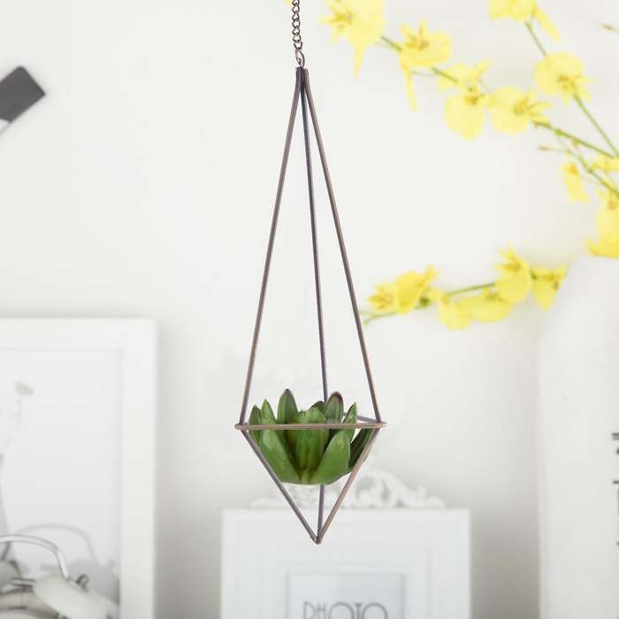 1 Pack Hanging Air Plant Holder for Tillandsia with Chains Bronze