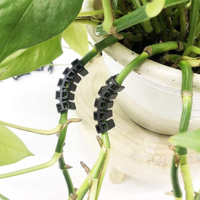 100pcs Plant Benders Plant Supports Control The Growth Of Plants