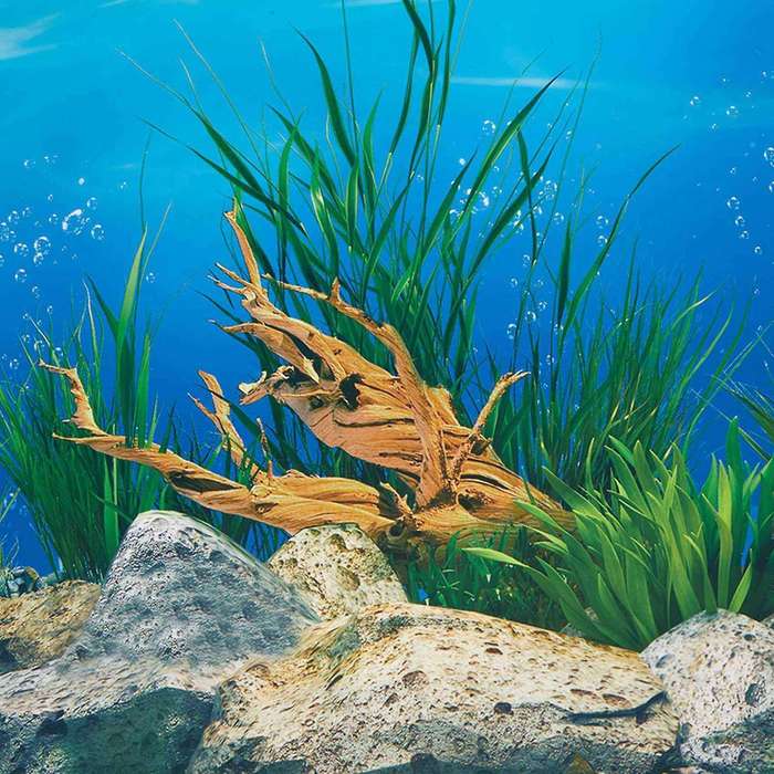 Wallpaper Background Aquarium Decorative Fish Tank Sticker40x82cm