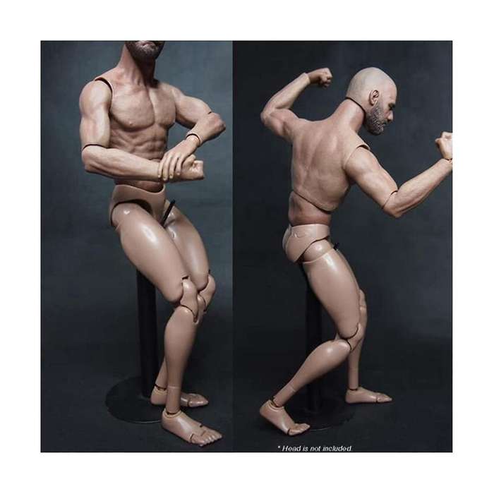 1/6 Scale Narrow Shoulder Male Body Doll for Ttm18 Ttm19 Hot Toys & Human Body Sketch Model