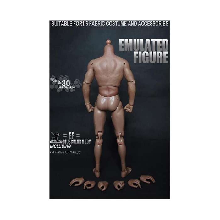 1/6 Scale Narrow Shoulder Male Body Doll for Ttm18 Ttm19 Hot Toys & Human Body Sketch Model