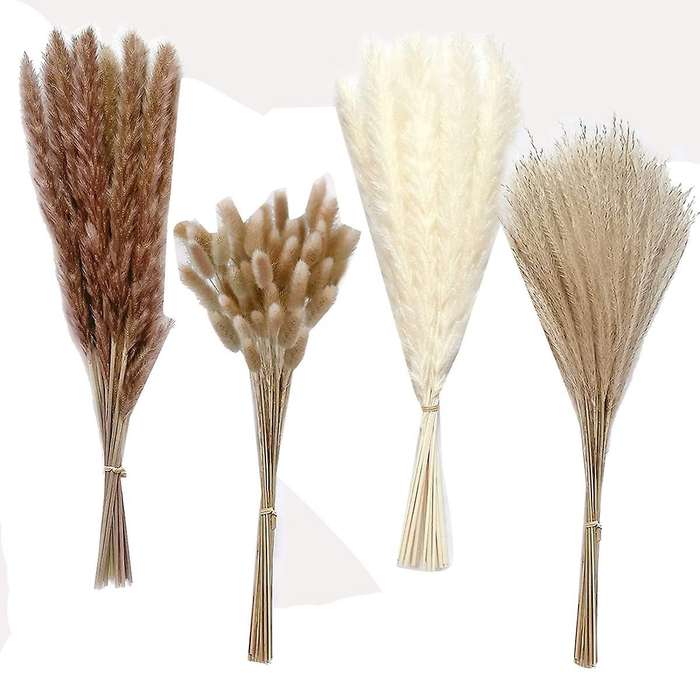 100 Stems Of 17 Inch Pampas Decor, Natural Dried Pampas Grass Contains Pampas (white and Brown), Re