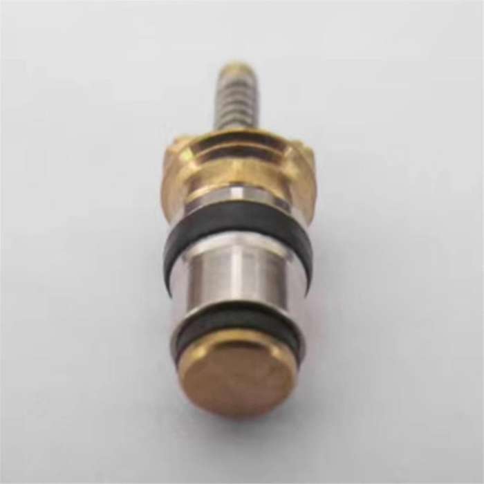 100pc Air Conditioning Charge Cold Medium Interface Valve Core for Elysee Beverly
