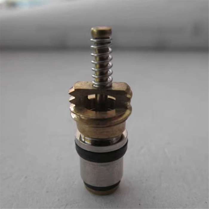 100pc Air Conditioning Charge Cold Medium Interface Valve Core for Elysee Beverly