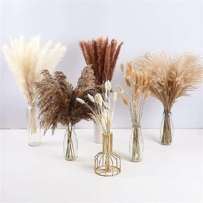 100pcs Dried Pampas Grass Decor,natural Home Decor, Phragmites Dried Flowers, Fluffy Stem Bouquet F
