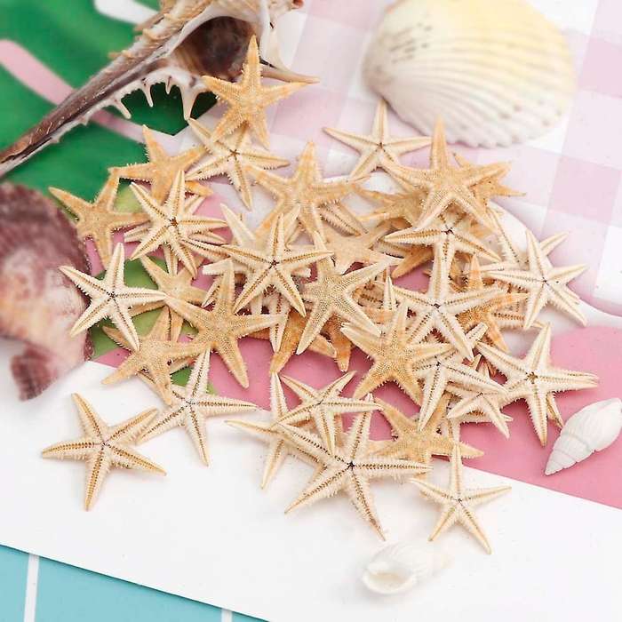 100Pcs Natural Starfish Seashell Beach Craft Natural Sea Stars DIY Beach Wedding Decoration Crafts H