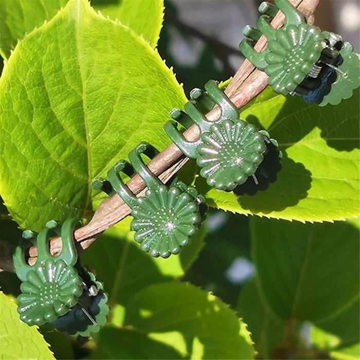 100PCS Orchid Clips Plant Support Clips, Secured Plastic Plant Clip Garden Tomato Plant Support Ste