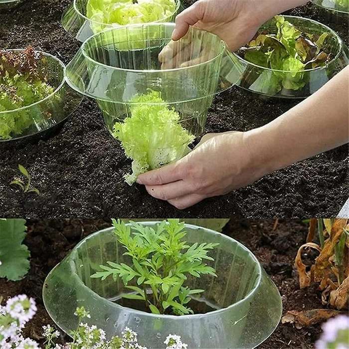 10PCS Protection Vegetables Covers Plant Snail Collar Guard Garden