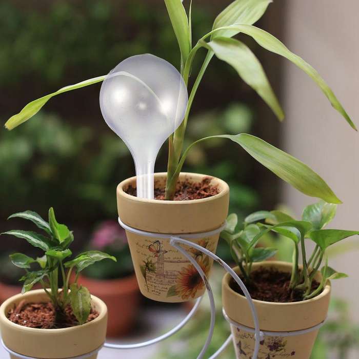12pcs Plant Watering Bulbs Self-watering Globes Plastic Garden Device