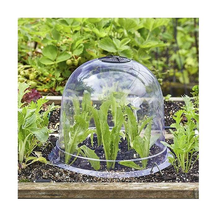12pcs Reusable Plastic Greenhouse Garden Plant Bell Cover Plant Germination Cover Dome Frost Guard F