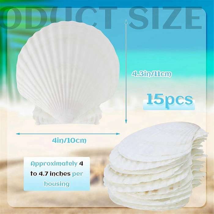 15 Pcs Natural Sea Shell White, 4-4.7 Inch Scallop Shells for Diy Craft, Serving Food, Baking and Mo