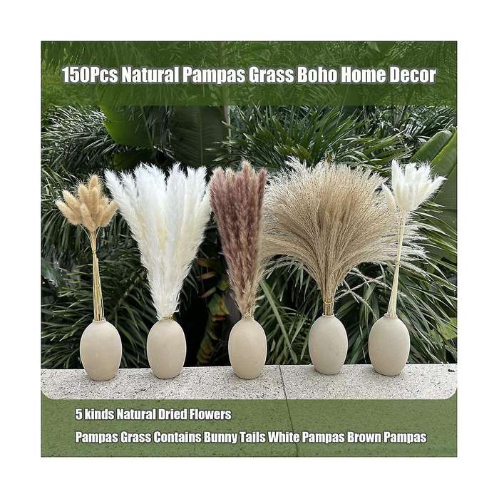 150pcs Pampas Grass Boho Homedecor Dried Flowers-pampas Grass Contains Bunny White Pampas Brown Pamp