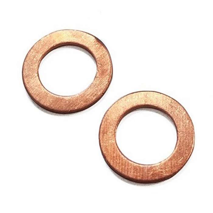 2 Pcs M10x1.25 Stainless Steel Bolts Brake Hose Line Fitting Adapter with 4 Pce M10 Copper Washers