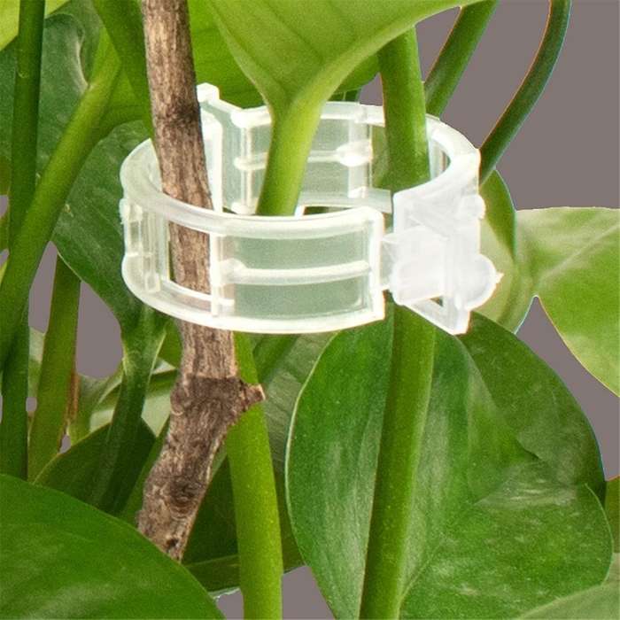 2000Pcs Garden Clips for Vine , Climbing Plants, Flowers - Easy to Use, Disposable and