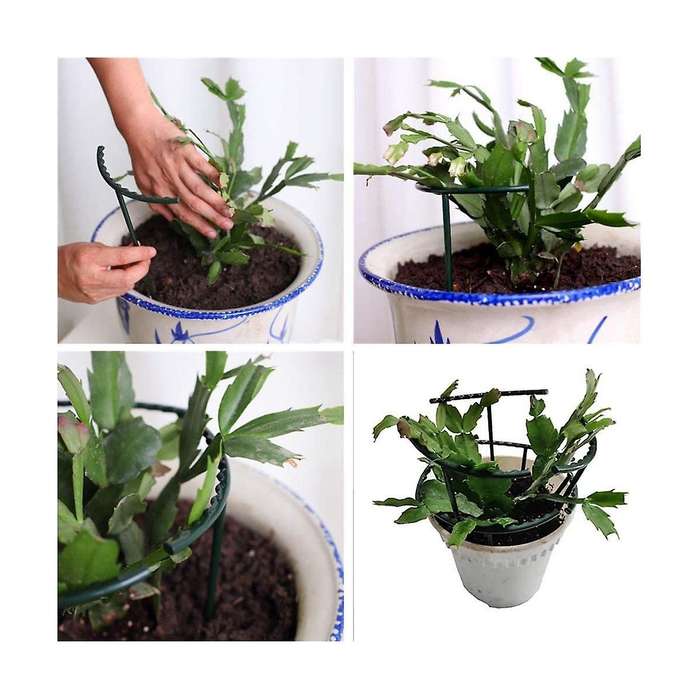 20pcs Plant Support Pile Frame Greenhouse Arrangement Semicircle Fixed Rod Indoor Flower Plant Vine