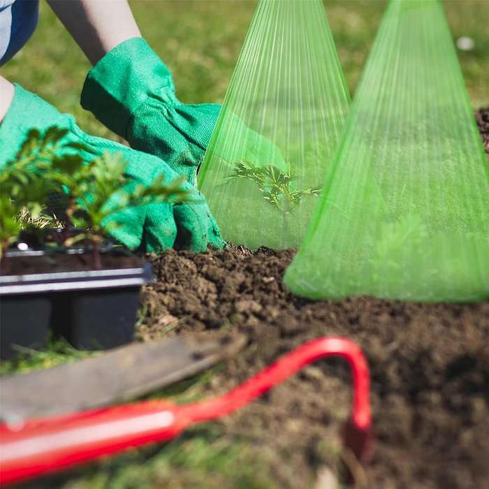20x Garden Cloches for Plants,reusable Plant Bell Cover,protects Plants From Birds, Frost,snails Etc