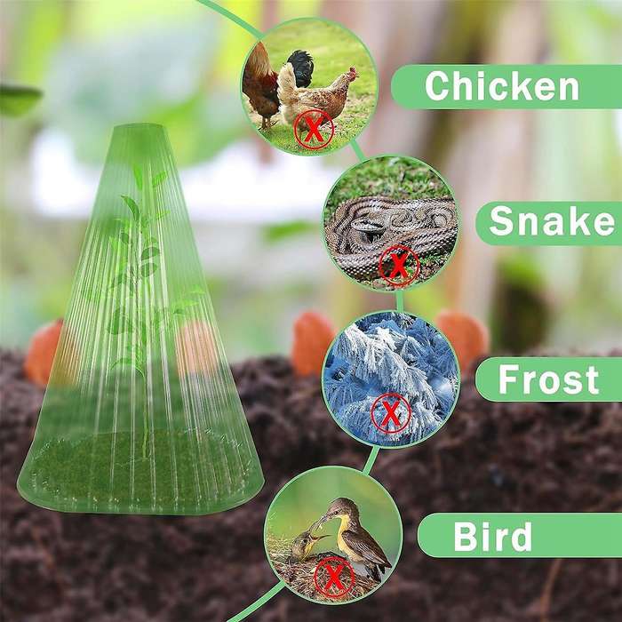 20x Garden Cloches for Plants,reusable Plant Bell Cover,protects Plants From Birds, Frost,snails Etc