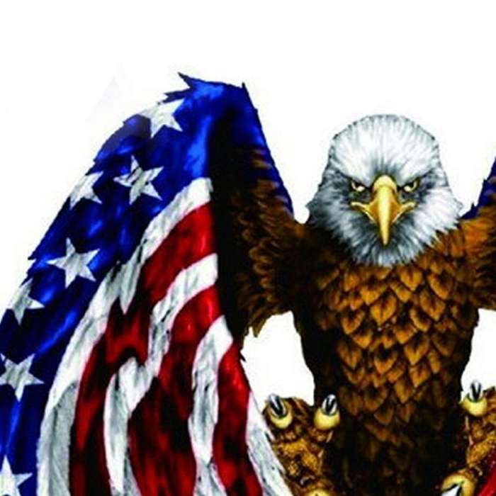 Decal sticker for Car motorcycle eagle with USA flag